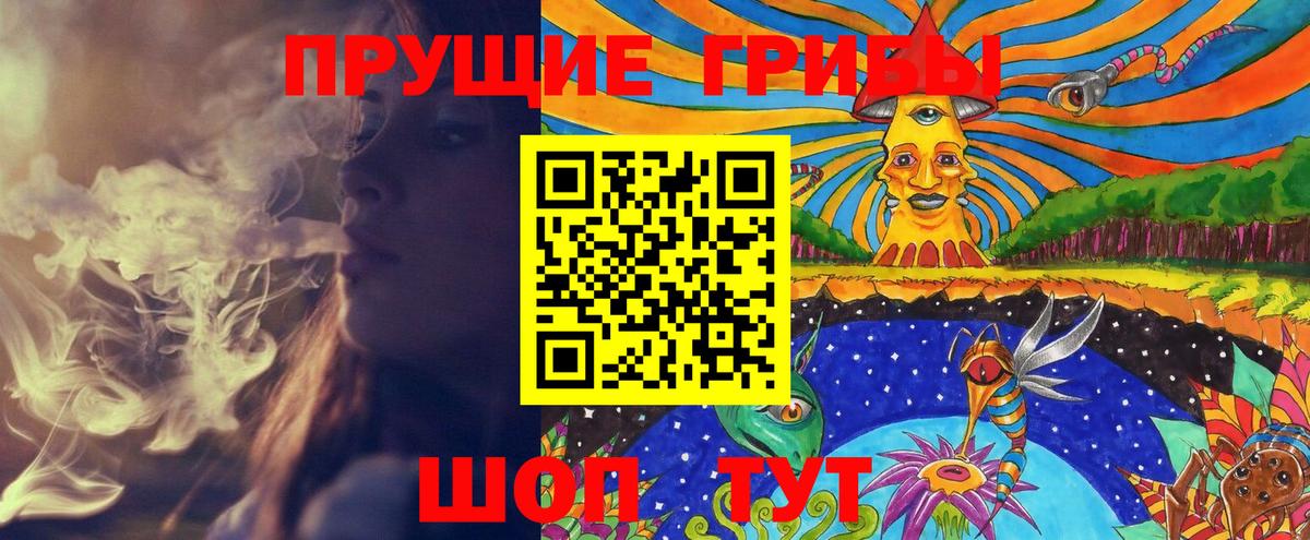 Псилоцибиновые грибы прущие грибы Казань